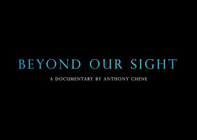 Beyond Our Sight